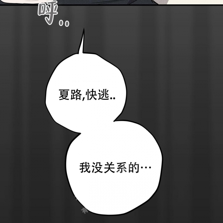 《 夏菲菲的兔子》漫画最新章节第92话免费下拉式在线观看章节第【5】张图片