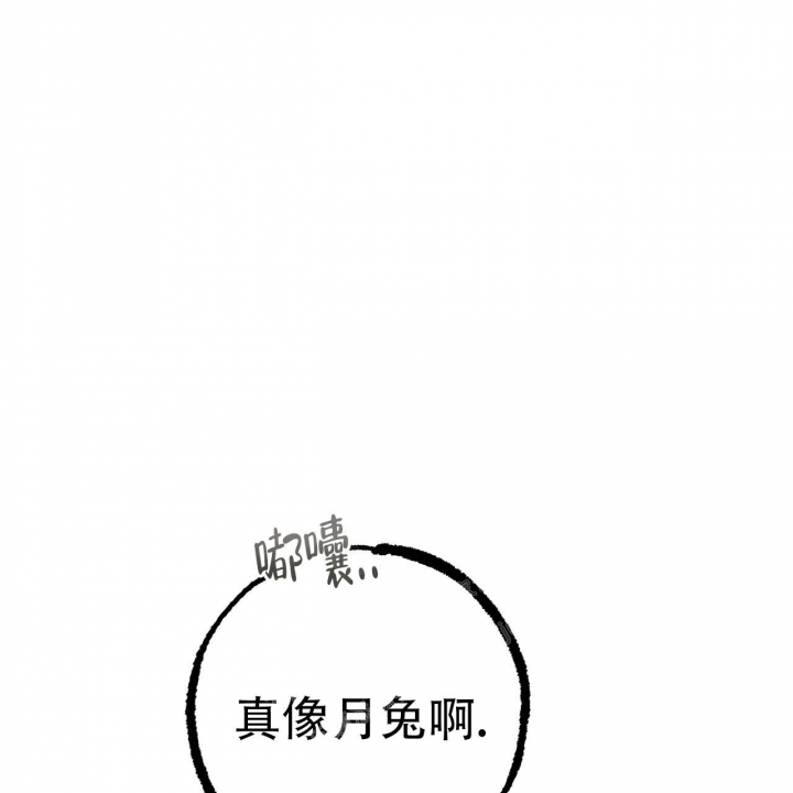 《 夏菲菲的兔子》漫画最新章节第98话免费下拉式在线观看章节第【25】张图片