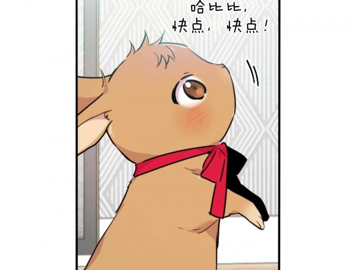 《 夏菲菲的兔子》漫画最新章节第6话免费下拉式在线观看章节第【6】张图片