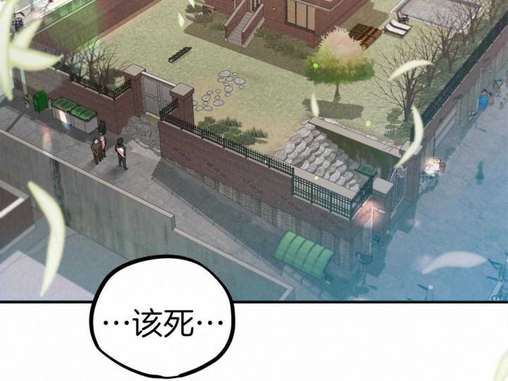 《 夏菲菲的兔子》漫画最新章节第3话免费下拉式在线观看章节第【34】张图片