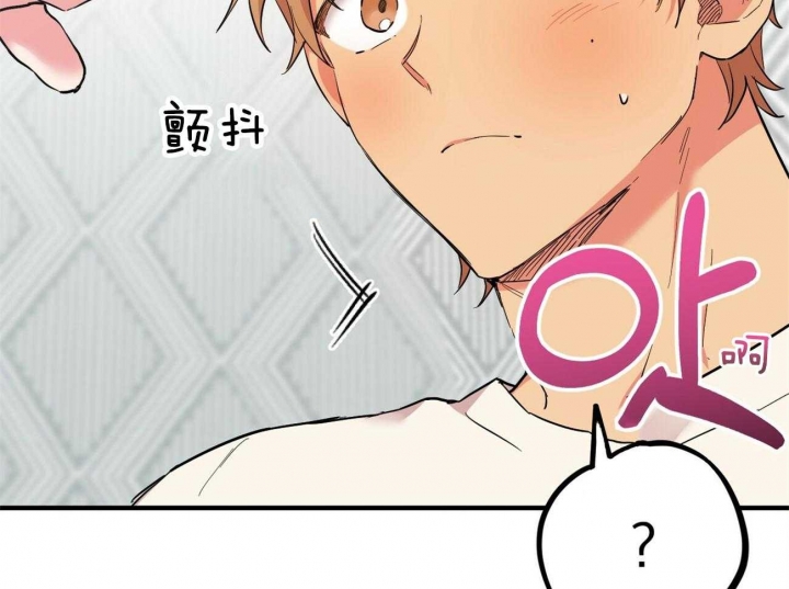 《 夏菲菲的兔子》漫画最新章节第14话免费下拉式在线观看章节第【30】张图片