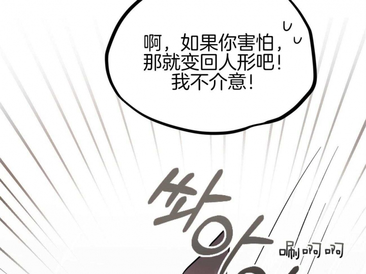 《 夏菲菲的兔子》漫画最新章节第9话免费下拉式在线观看章节第【67】张图片