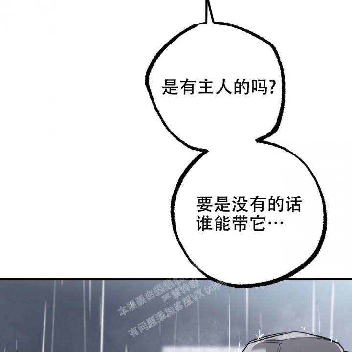 《 夏菲菲的兔子》漫画最新章节第88话免费下拉式在线观看章节第【10】张图片