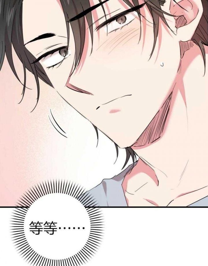 《 夏菲菲的兔子》漫画最新章节第43话免费下拉式在线观看章节第【27】张图片