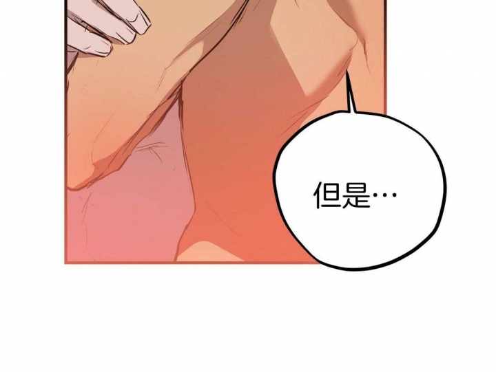 《 夏菲菲的兔子》漫画最新章节第73话免费下拉式在线观看章节第【51】张图片