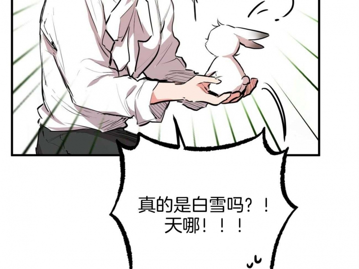 《 夏菲菲的兔子》漫画最新章节第74话免费下拉式在线观看章节第【21】张图片