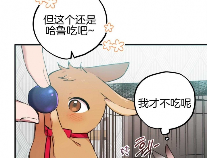 《 夏菲菲的兔子》漫画最新章节第6话免费下拉式在线观看章节第【31】张图片