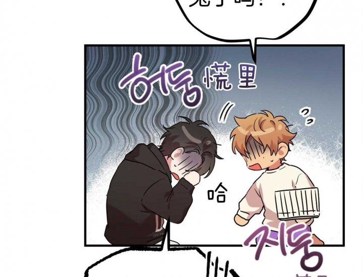 《 夏菲菲的兔子》漫画最新章节第18话免费下拉式在线观看章节第【28】张图片