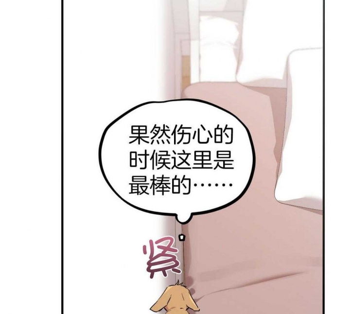 《 夏菲菲的兔子》漫画最新章节第50话免费下拉式在线观看章节第【60】张图片