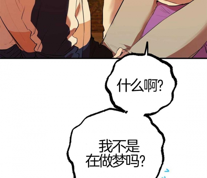 《 夏菲菲的兔子》漫画最新章节第66话免费下拉式在线观看章节第【31】张图片