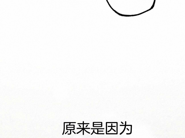 《 夏菲菲的兔子》漫画最新章节第31话免费下拉式在线观看章节第【44】张图片