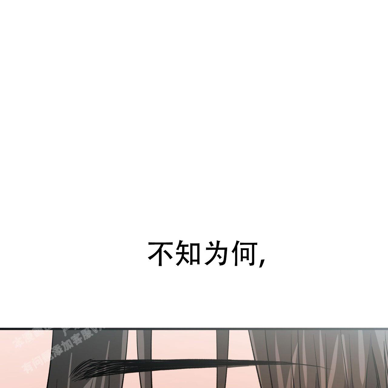 《 夏菲菲的兔子》漫画最新章节第140话免费下拉式在线观看章节第【90】张图片