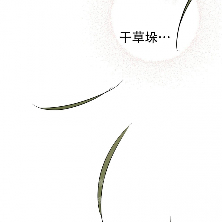 《 夏菲菲的兔子》漫画最新章节第96话免费下拉式在线观看章节第【8】张图片