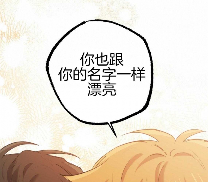 《 夏菲菲的兔子》漫画最新章节第68话免费下拉式在线观看章节第【43】张图片