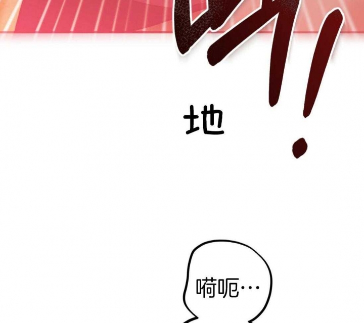 《 夏菲菲的兔子》漫画最新章节第47话免费下拉式在线观看章节第【8】张图片