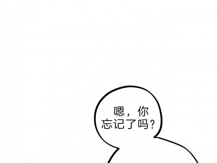 《 夏菲菲的兔子》漫画最新章节第81话免费下拉式在线观看章节第【4】张图片