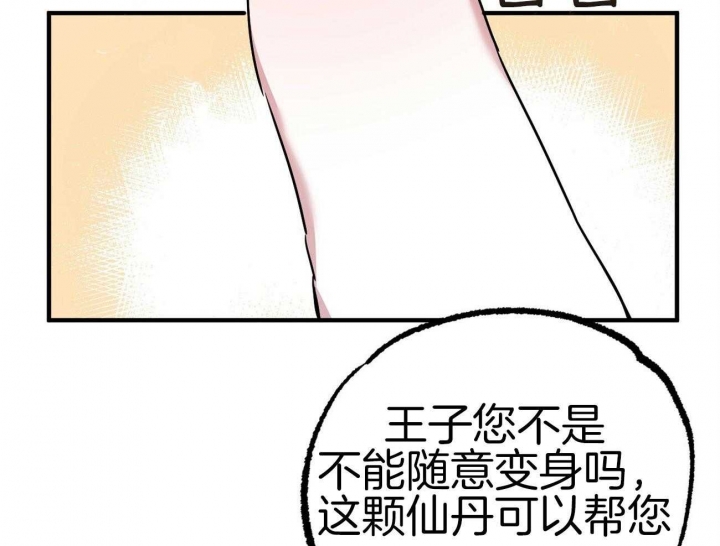 《 夏菲菲的兔子》漫画最新章节第9话免费下拉式在线观看章节第【19】张图片