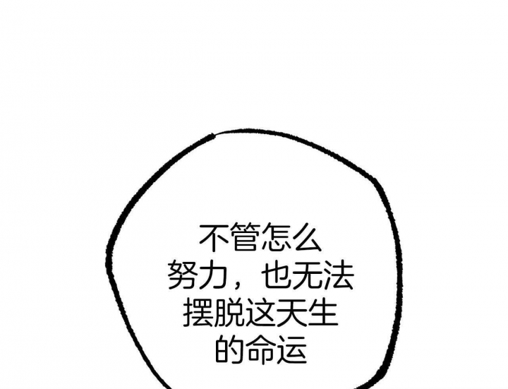《 夏菲菲的兔子》漫画最新章节第61话免费下拉式在线观看章节第【11】张图片