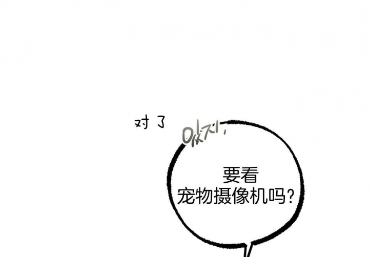 《 夏菲菲的兔子》漫画最新章节第75话免费下拉式在线观看章节第【3】张图片