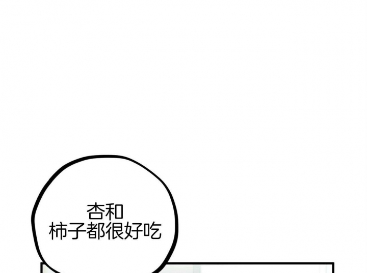 《 夏菲菲的兔子》漫画最新章节第12话免费下拉式在线观看章节第【6】张图片