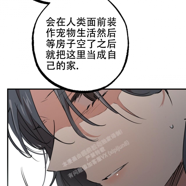 《 夏菲菲的兔子》漫画最新章节第87话免费下拉式在线观看章节第【17】张图片