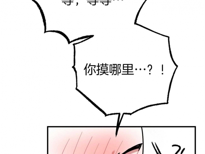 《 夏菲菲的兔子》漫画最新章节第9话免费下拉式在线观看章节第【81】张图片