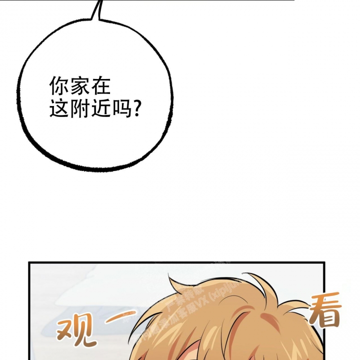 《 夏菲菲的兔子》漫画最新章节第97话免费下拉式在线观看章节第【3】张图片