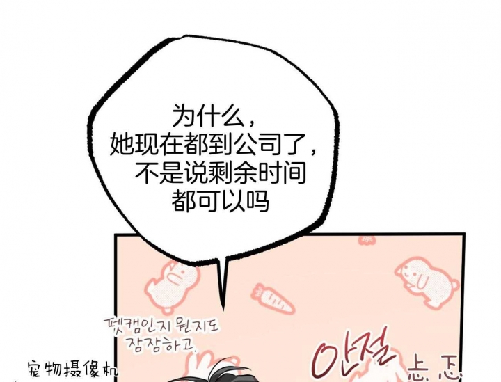 《 夏菲菲的兔子》漫画最新章节第75话免费下拉式在线观看章节第【89】张图片