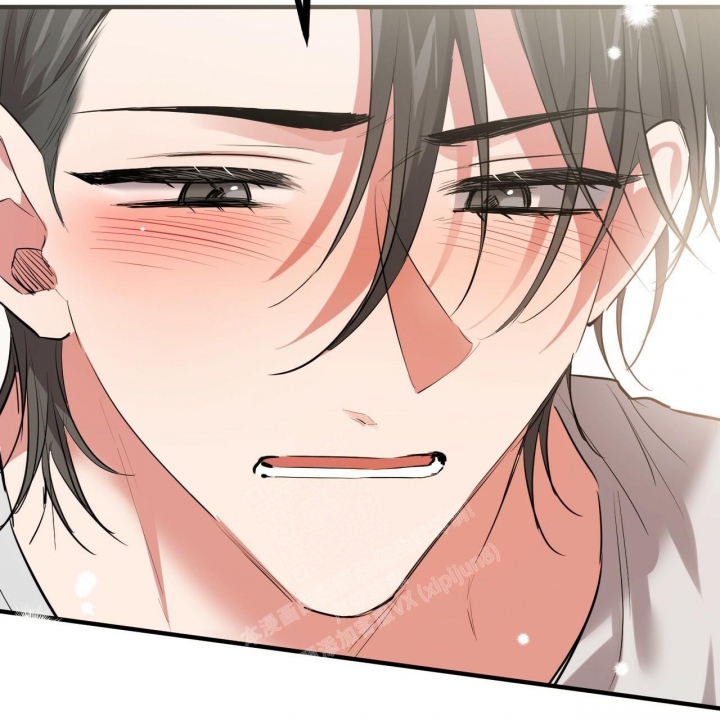 《 夏菲菲的兔子》漫画最新章节第97话免费下拉式在线观看章节第【44】张图片