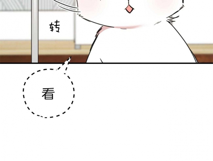 《 夏菲菲的兔子》漫画最新章节第4话免费下拉式在线观看章节第【59】张图片