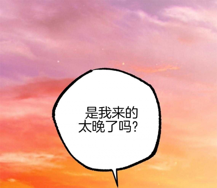 《 夏菲菲的兔子》漫画最新章节第66话免费下拉式在线观看章节第【1】张图片
