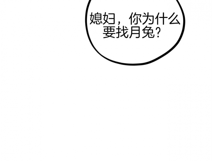 《 夏菲菲的兔子》漫画最新章节第14话免费下拉式在线观看章节第【22】张图片