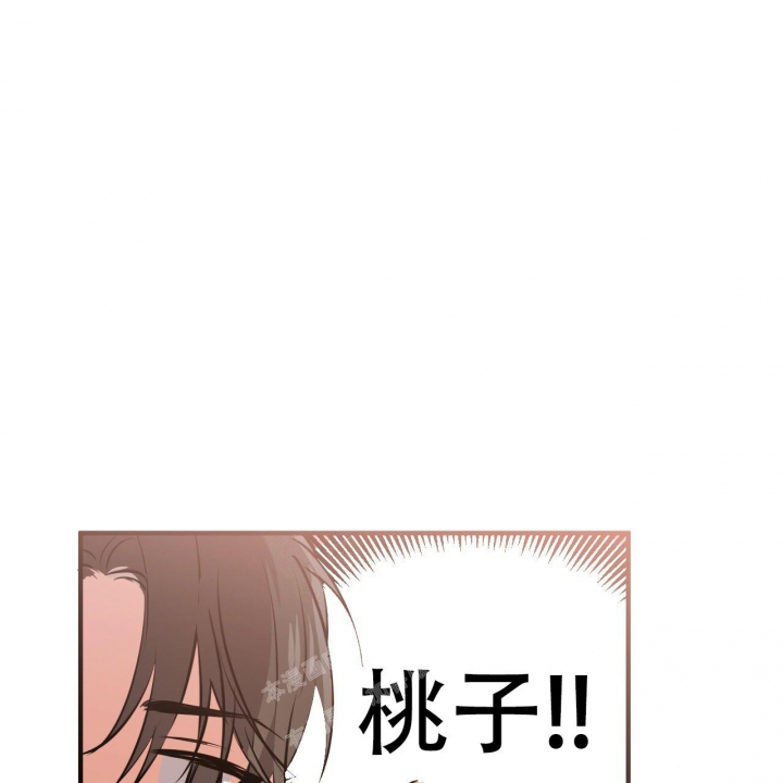 《 夏菲菲的兔子》漫画最新章节第98话免费下拉式在线观看章节第【53】张图片