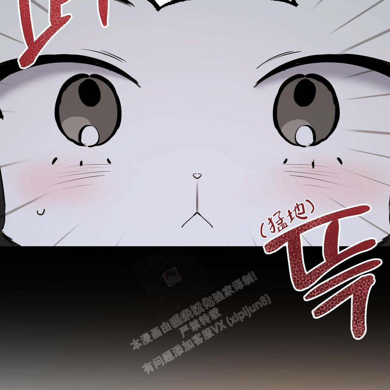 《 夏菲菲的兔子》漫画最新章节第110话免费下拉式在线观看章节第【5】张图片