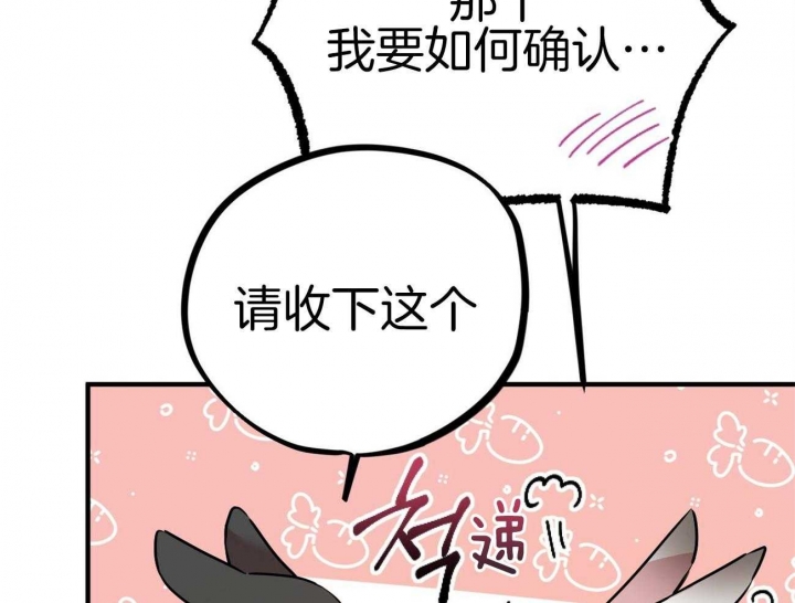 《 夏菲菲的兔子》漫画最新章节第9话免费下拉式在线观看章节第【16】张图片