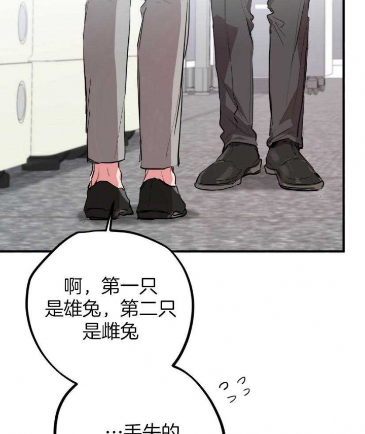 《 夏菲菲的兔子》漫画最新章节第57话免费下拉式在线观看章节第【23】张图片