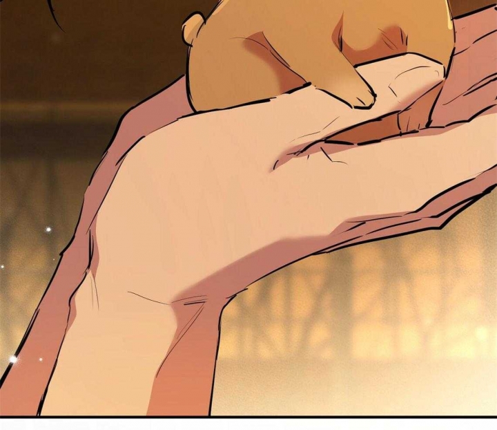 《 夏菲菲的兔子》漫画最新章节第66话免费下拉式在线观看章节第【13】张图片
