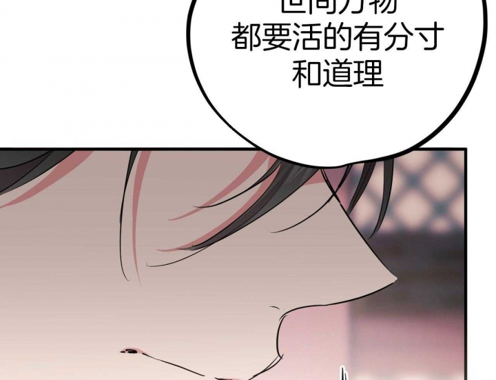 《 夏菲菲的兔子》漫画最新章节第61话免费下拉式在线观看章节第【8】张图片