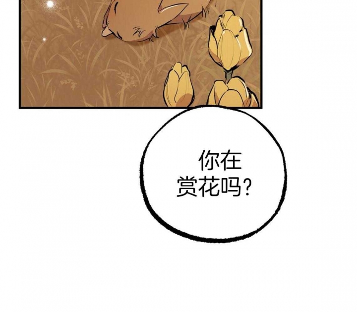 《 夏菲菲的兔子》漫画最新章节第65话免费下拉式在线观看章节第【93】张图片