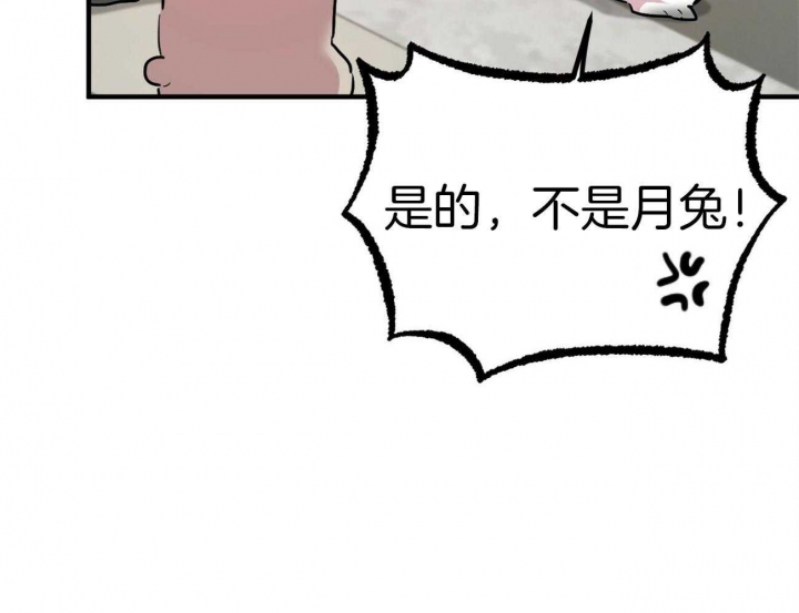 《 夏菲菲的兔子》漫画最新章节第8话免费下拉式在线观看章节第【69】张图片