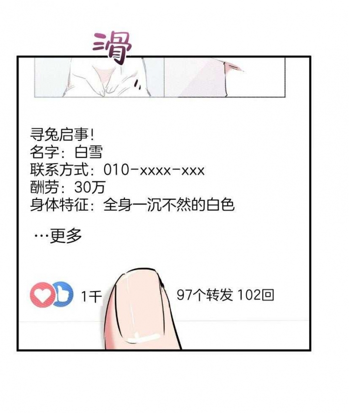 《 夏菲菲的兔子》漫画最新章节第58话免费下拉式在线观看章节第【9】张图片