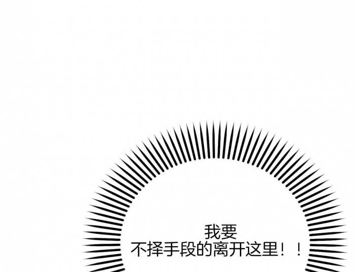 《 夏菲菲的兔子》漫画最新章节第11话免费下拉式在线观看章节第【10】张图片