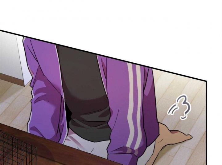 《 夏菲菲的兔子》漫画最新章节第6话免费下拉式在线观看章节第【72】张图片