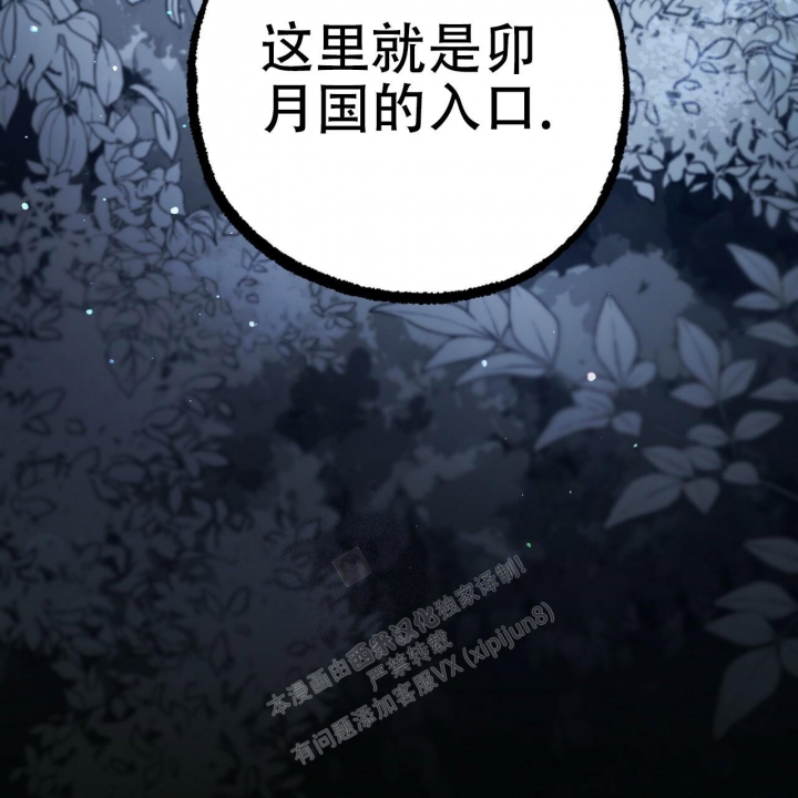 《 夏菲菲的兔子》漫画最新章节第92话免费下拉式在线观看章节第【37】张图片