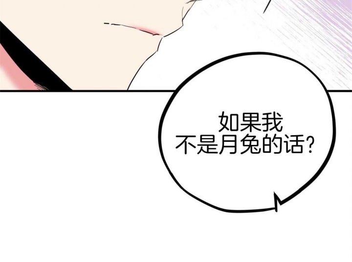 《 夏菲菲的兔子》漫画最新章节第14话免费下拉式在线观看章节第【54】张图片