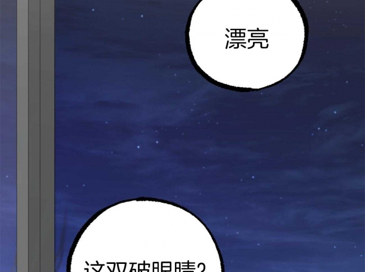 《 夏菲菲的兔子》漫画最新章节第20话免费下拉式在线观看章节第【47】张图片