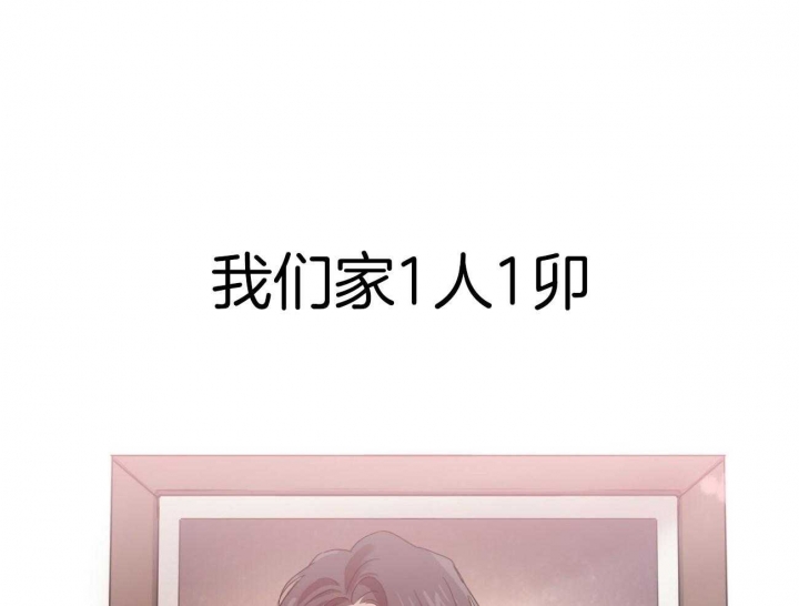 《 夏菲菲的兔子》漫画最新章节第29话免费下拉式在线观看章节第【1】张图片