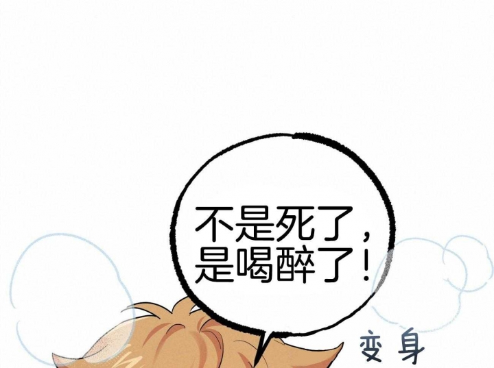 《 夏菲菲的兔子》漫画最新章节第19话免费下拉式在线观看章节第【45】张图片