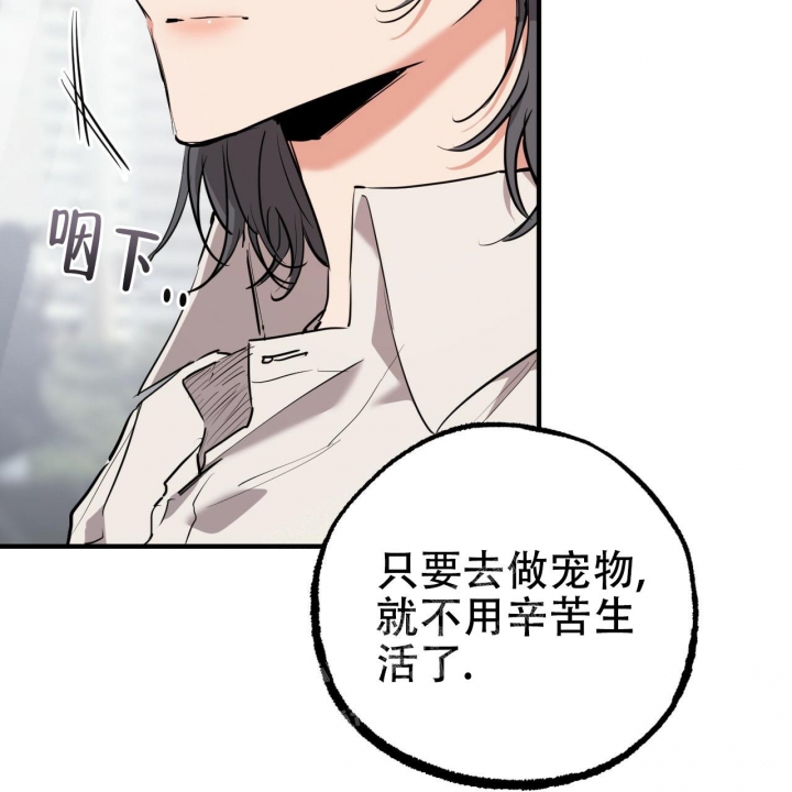 《 夏菲菲的兔子》漫画最新章节第87话免费下拉式在线观看章节第【13】张图片