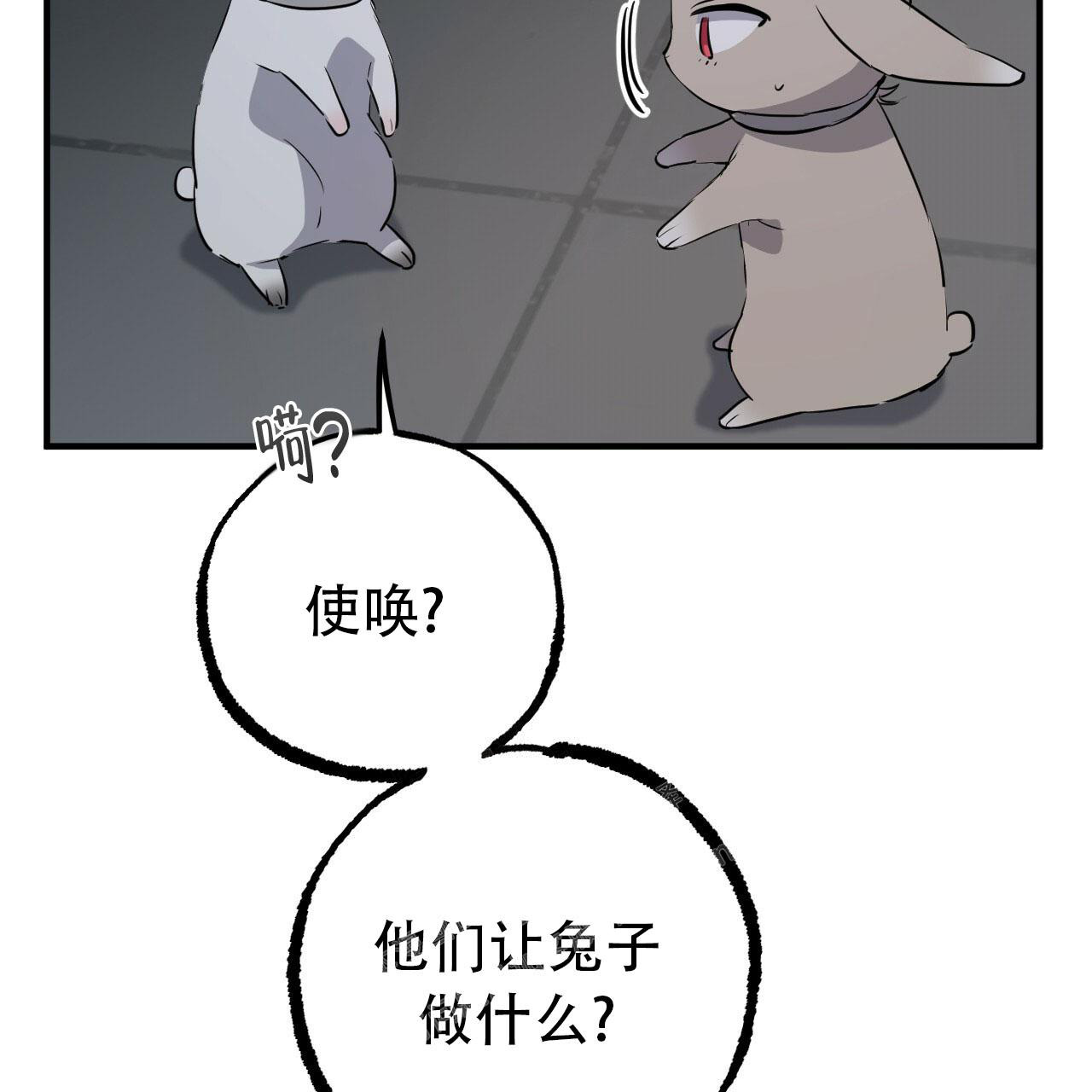 《 夏菲菲的兔子》漫画最新章节第110话免费下拉式在线观看章节第【34】张图片